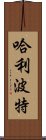 哈利·波特 Scroll