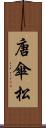 唐傘松 Scroll