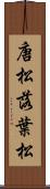 唐松 Scroll