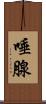 唾腺 Scroll