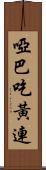 啞巴吃黃連 Scroll