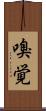 嗅覚 Scroll