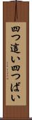 四つ這い Scroll
