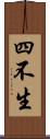 四不生 Scroll