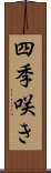 四季咲き Scroll