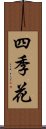 四季花 Scroll