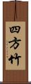 四方竹 Scroll