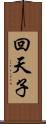 回天子 Scroll