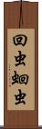 回虫;蛔虫 Scroll