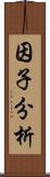 因子分析 Scroll
