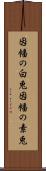 因幡の白兎 Scroll