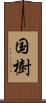 国樹 Scroll