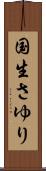 国生さゆり Scroll