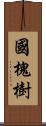 國槐樹 Scroll