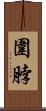 圍脖 Scroll