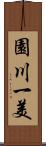 園川一美 Scroll