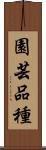 園芸品種 Scroll