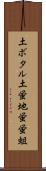 土ボタル Scroll