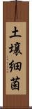 土壌細菌 Scroll