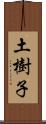 土樹子 Scroll