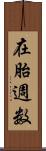 在胎週数 Scroll