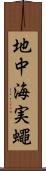 地中海実蠅 Scroll