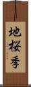 地桜季 Scroll