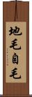 地毛 Scroll