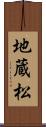 地蔵松 Scroll