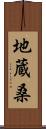 地蔵桑 Scroll