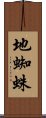 地蜘蛛 Scroll