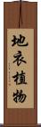 地衣植物 Scroll
