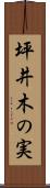 坪井木の実 Scroll