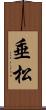 垂松 Scroll
