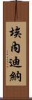 Enedina Scroll