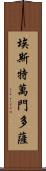 Estevan Mendoza Scroll