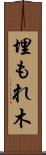 埋もれ木 Scroll