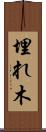 埋れ木 Scroll