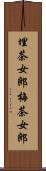 埋茶女郎 Scroll
