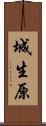 城生原 Scroll