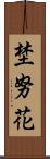 埜努花 Scroll