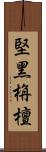 堅黑栴檀 Scroll