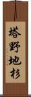 塔野地杉 Scroll