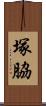 塚脇 Scroll