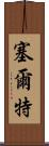 塞爾特 Scroll