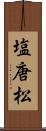 塩唐松 Scroll