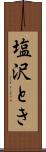 塩沢とき Scroll