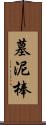 墓泥棒 Scroll