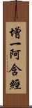 增一阿含經 Scroll