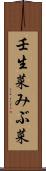壬生菜 Scroll